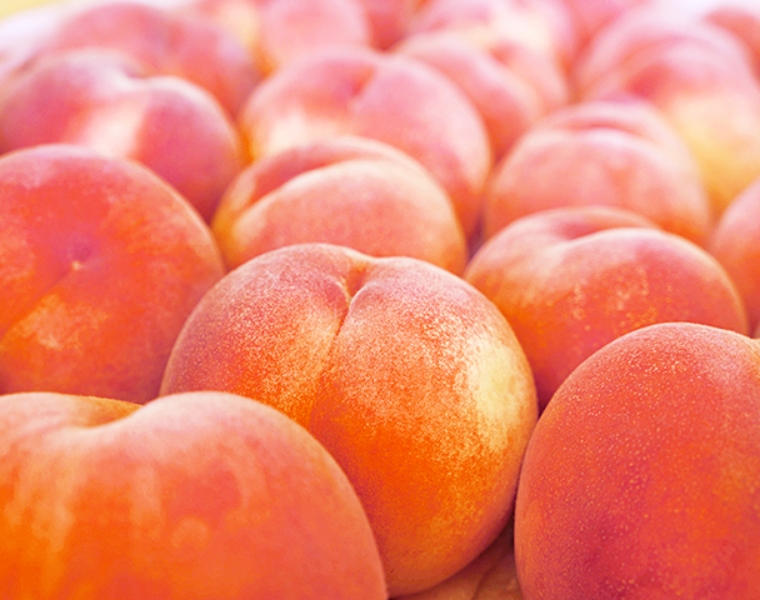 福島県は日本有数の「くだもの王国」。桃の出荷量は全国2位。梨は全国3位の出荷量です。リンゴやぶどう、柿 も美味しくて有名です。